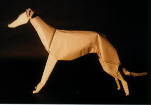 greyhound
