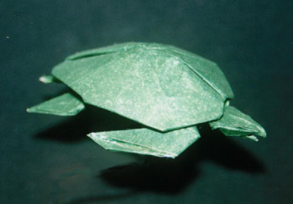 turtle